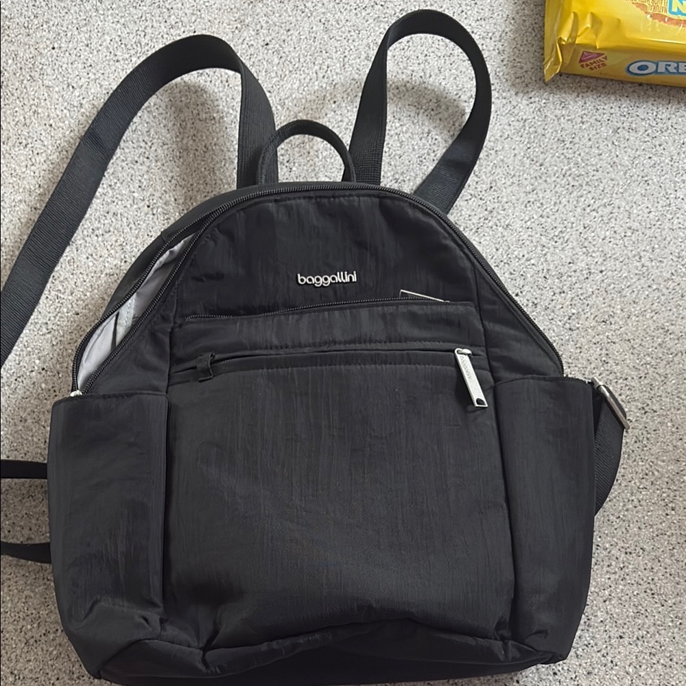 Baggallini Securtex Antitheft Backpack
